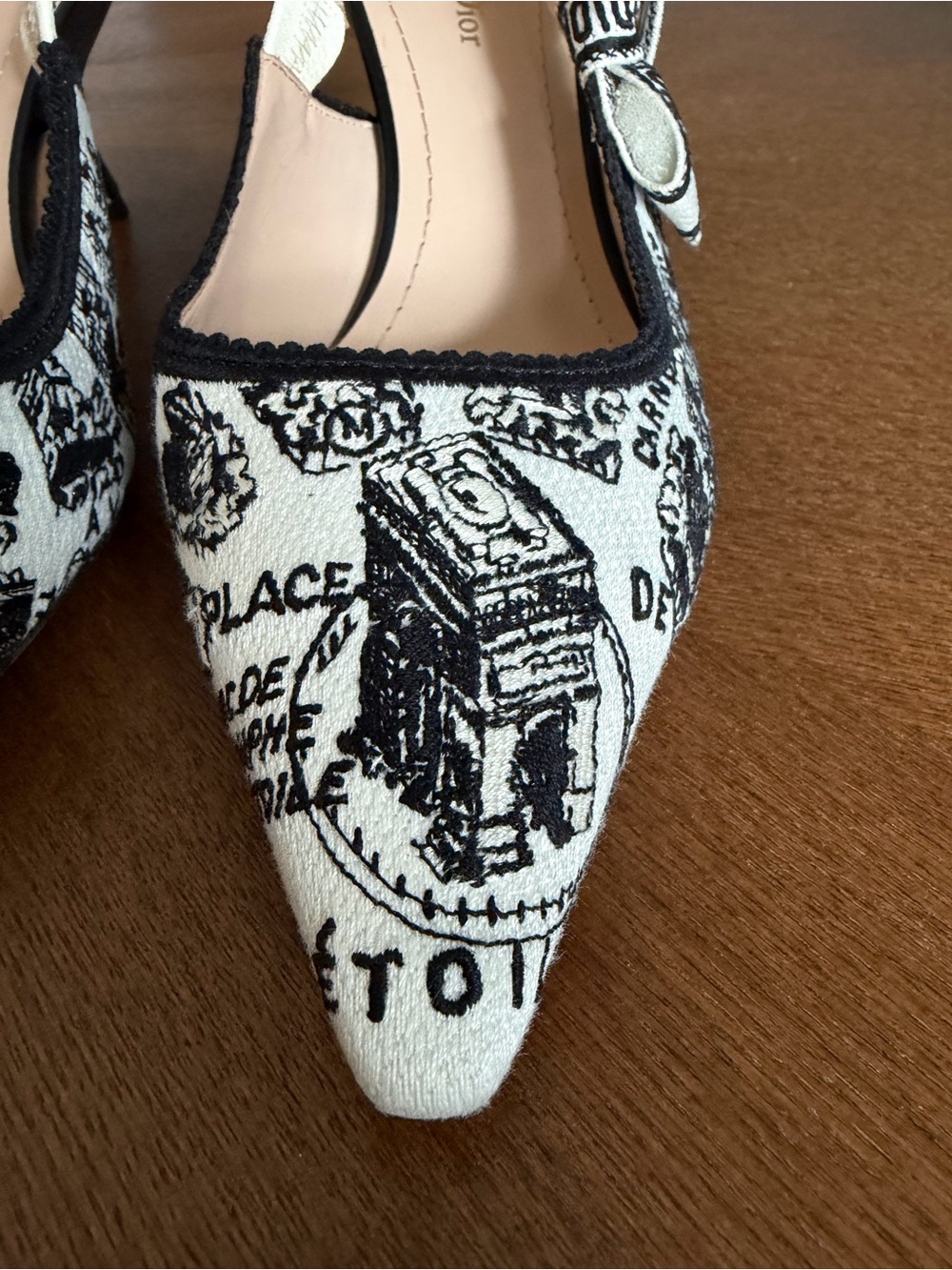Dior Black & White Printed Pointed Slingback Pumps - Picture 3 of 16
